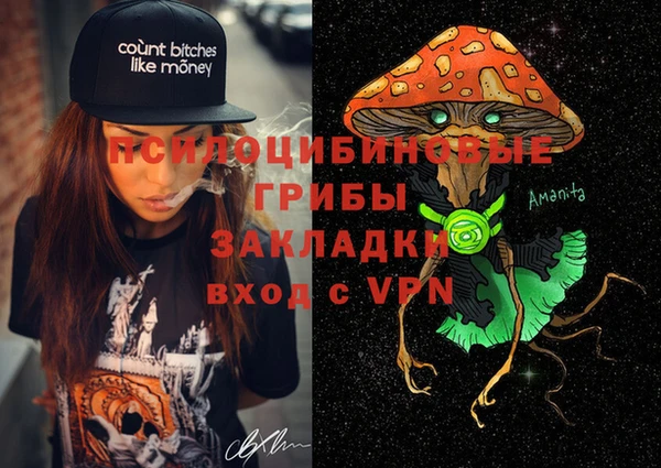 гидропоника Магас