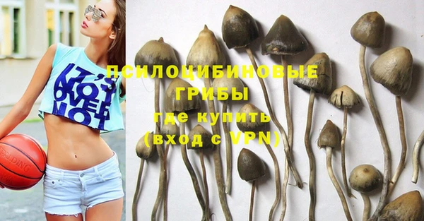 прущая мука Медногорск