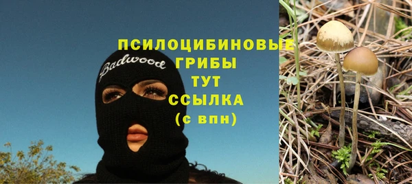 спайс Медвежьегорск