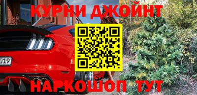 Альфа ПВП Бийск