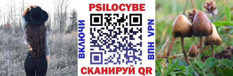 Псилоцибиновые грибы Psilocybine cubensis  сайты даркнета наркотические препараты  Звенигород 