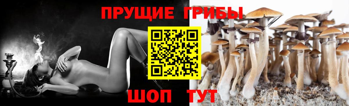 Звенигород  Галлюциногенные грибы мухоморы  Вход с VPN 