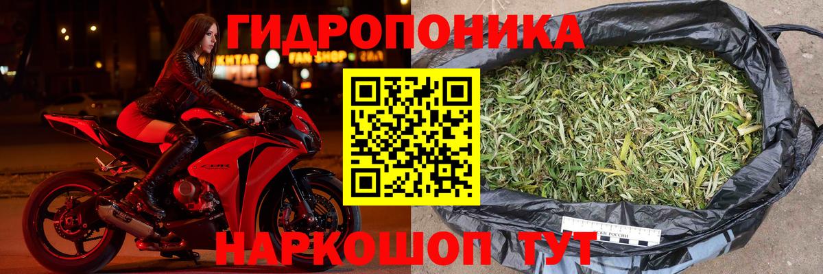 Канабис планчик Звенигород