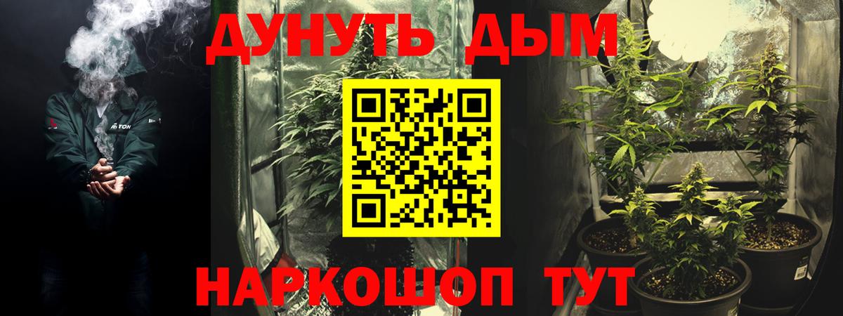 Звенигород  Шишки марихуана тримм  Каннабис Bruce Banner  Вход с VPN 